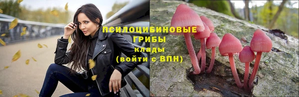 таблы Богданович