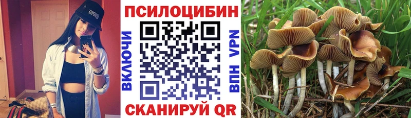 где можно купить Невьянск Галлюциногенные грибы Cubensis